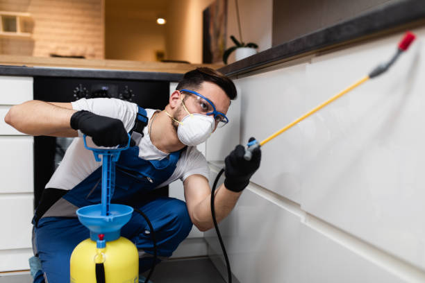 Best Rat Extermination Near Me  in Mvern, AL