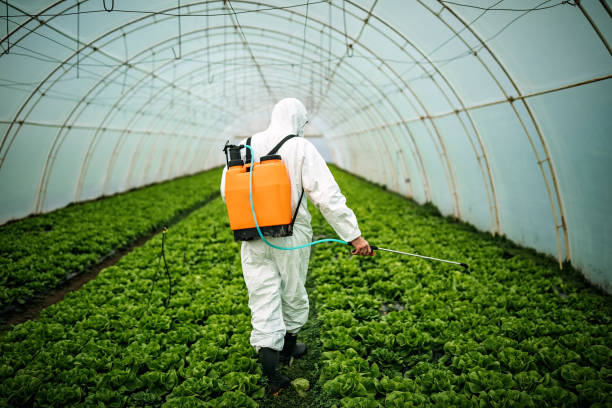 Professional Pest Control in Malvern, AL