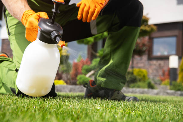 Best Bed Bug Extermination  in Mvern, AL