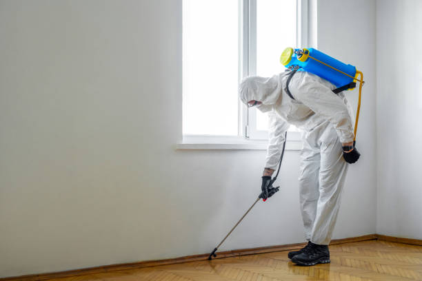 Best Best Pest Control Companies  in Mvern, AL