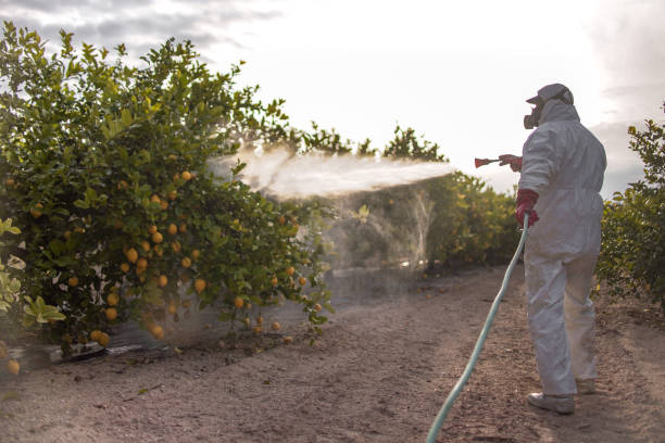 Best Pest Control Near Me  in Mvern, AL