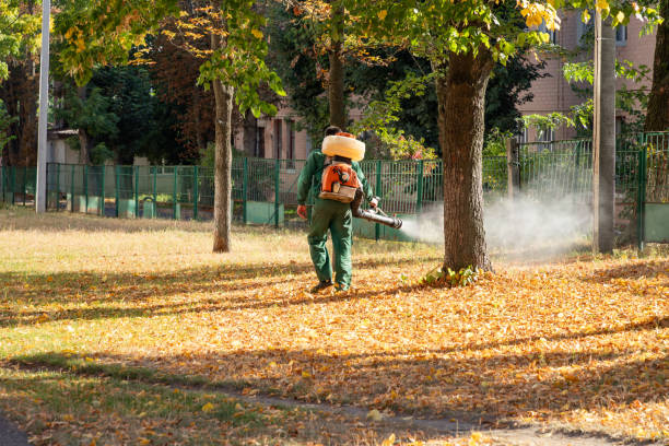 Best Pest Control Treatment  in Mvern, AL