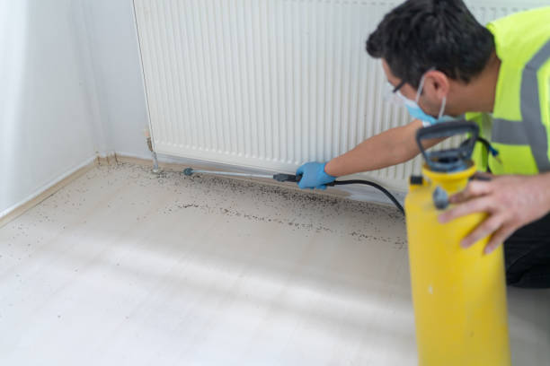 Best Pest Prevention Services  in Mvern, AL
