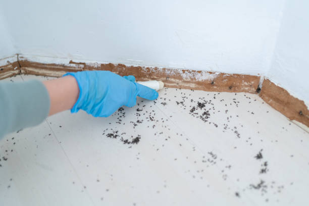 Reliable Malvern, AL Pest Control Solutions