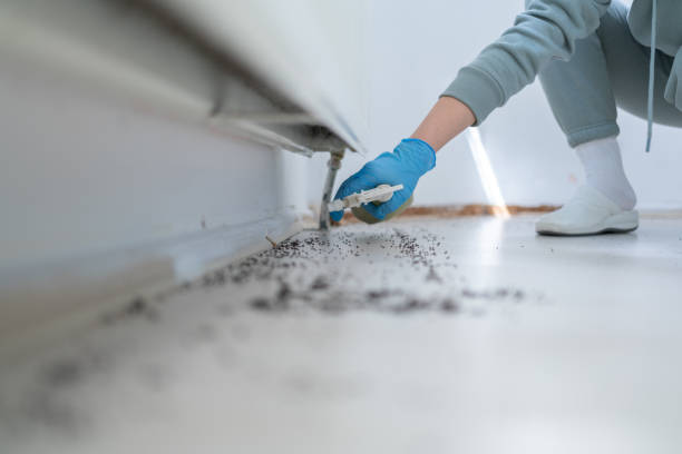 Wildlife Control Services in Malvern, AL