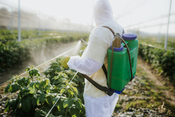 Best Termite Control Services  in Mvern, AL